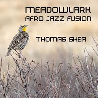 Thomas Shea - Meadowlark Afro Jazz Fusion