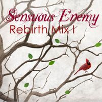 Sensuous Enemy - Rebirth Mix 1