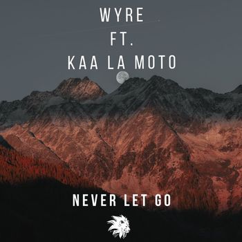 Wyre - NEVER LET GO