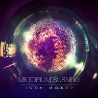 Josh Money - Metopium Burning