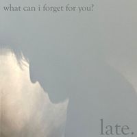 Late - What Can I Forget For You?