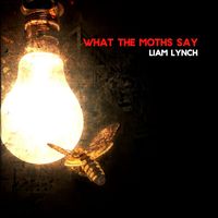 Liam Lynch - What The Moths Say
