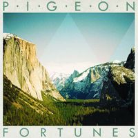 Pigeon - Fortunes