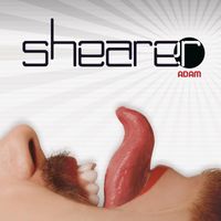 Shearer - Adam