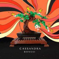 Cassandra - Bonsai