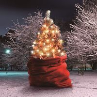 White Ash - The Best Nightmare For Xmas
