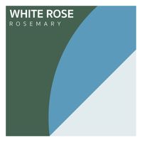 Rosemary - White Rose