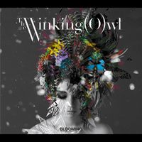 The Winking Owl - BLOOMING