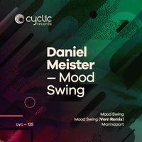 Daniel Meister - Mood Swing