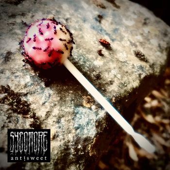 SYCOMORE - Antisweet