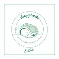 sleepy turtle - slow it down