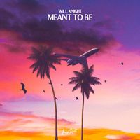 Will Knight - Meant To Be