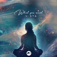 V-Sta - What You Want
