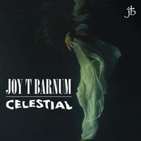 Joy T Barnum - Celestial