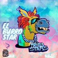 Tribu Stars - EL BURRO STAR