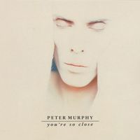 Peter Murphy - You're So Close