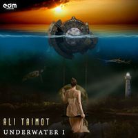 Ali Taimot - Underwater I