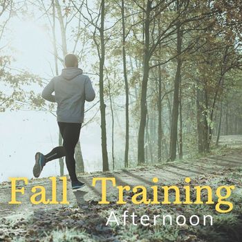 Various Artists - Fall Training Afternoons