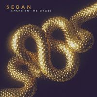Seoan - Snake in the Grass