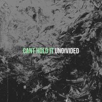 Undivided - Cant Hold It