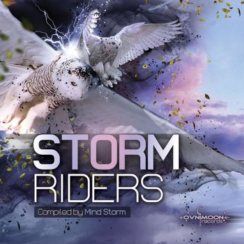 Various Artists - Storm Riders: Compiled by Mind Storm