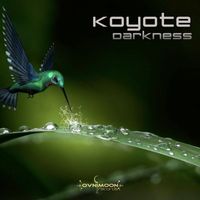 Koyote - Darkness