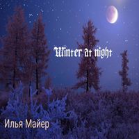 Илья Майер - Winter at night (Acoustic)