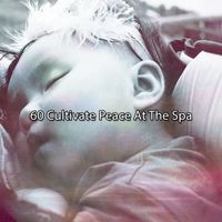 Rest & Relax Nature Sounds Artists - 60 Cultivate Peace At The Spa