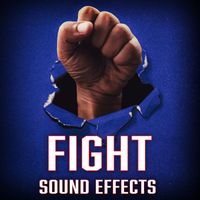 Sound Ideas - Fight Sound Effects