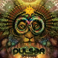 Pulsar - 8th Life