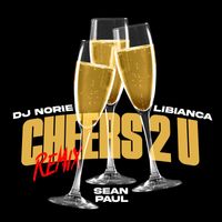 DJ Norie - Cheers 2 U (Remix)