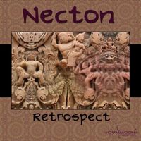 Necton - Retrospect