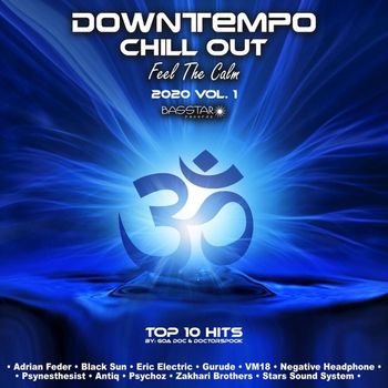 Various Artists - Downtempo Chill out Feel the Calm: 2020 Top 10 Hits, Vol. 1