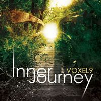 Voxel9 - Inner Journey