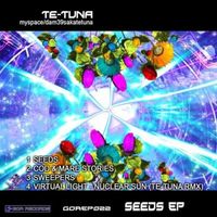 Tetuna and Virtual Light - Seeds