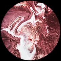 Cathédral - The Hard Disco Project