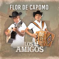 Los amigos - Flor De Capomo
