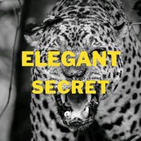 Secret - Elegant (Explicit)