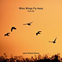 James Michael Stevens - When Wings Fly Away (Piano Solo)