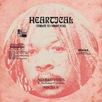 Macka B & Heartical Sound - No Bad Vibes