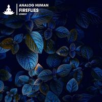 Analog Human - Fireflies