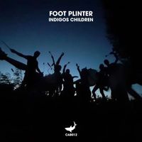 Foot Plinter - Indigos Children