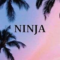 Ninja - NINJA