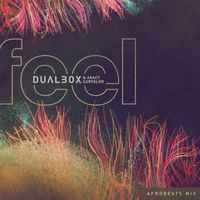 Dualbox & Aracy Carvalho - Feel (Afrobeats Mix)