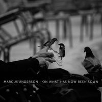 Marcus Anderson - On What Has Now Been Sown