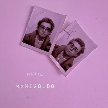 H501L - Manigoldo