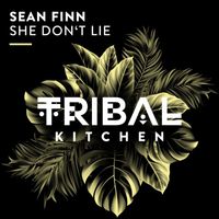 Sean Finn - She Don't Lie