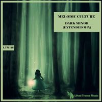 Melodic Culture - Dark Minor (Extended Mix)