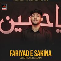 Syed Raza Husain - Fariyad E Sakina S.a