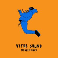 Monkey Marc - Vital Sound (Explicit)